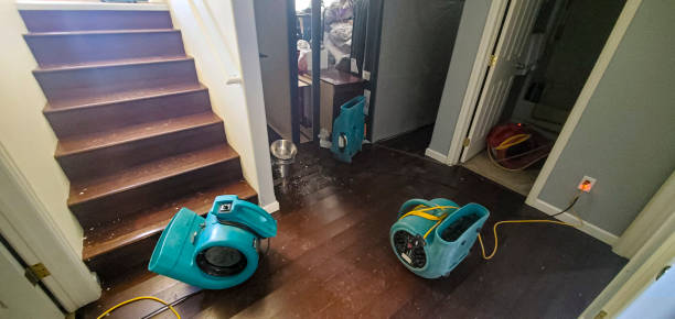 Best Carpet water damage restoration  in Saw Creek, PA