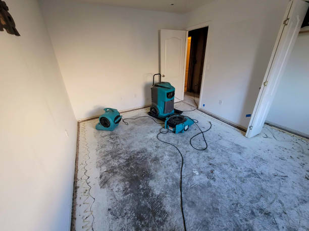 Best Sewage cleanup and water damage restoration  in Saw Creek, PA