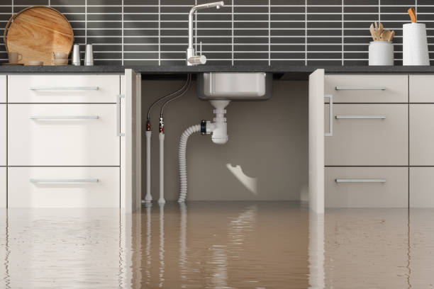 Best Flood damage cleanup  in Saw Creek, PA