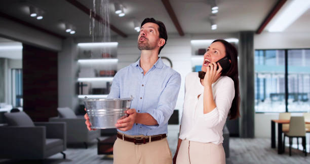 Best Mold removal after water damage  in Saw Creek, PA