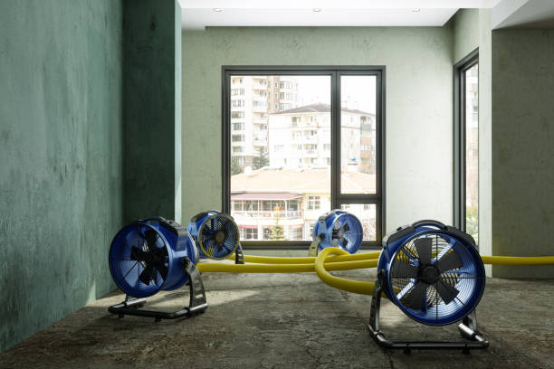 Best Ceiling water damage repair  in Saw Creek, PA