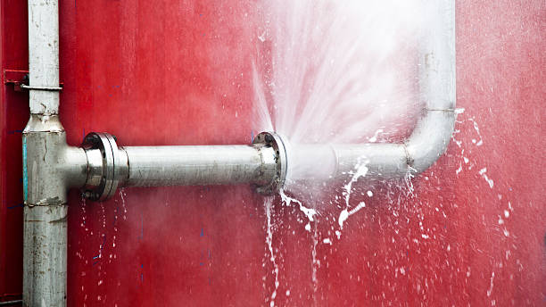 Best Water damage cleanup near me  in Saw Creek, PA